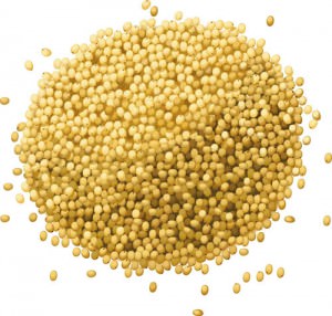 millet-2